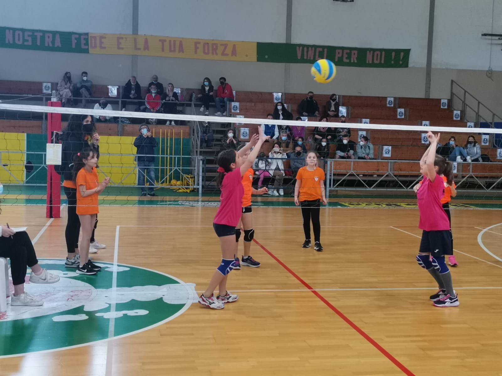 Volley S3 Livello 1 Maschile e Femminile